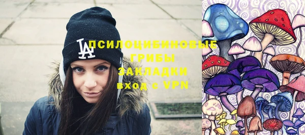 apvp Балахна