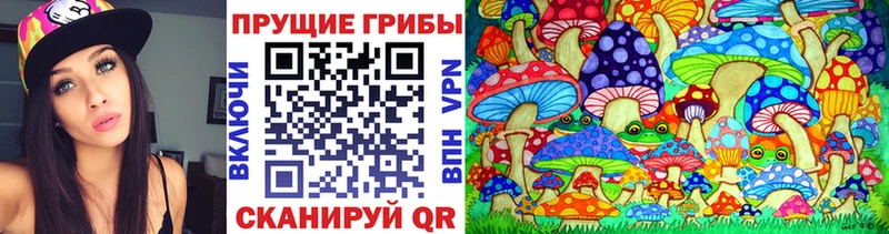 Купить где  Бабаево  Псилоцибиновые грибы Magic Shrooms 