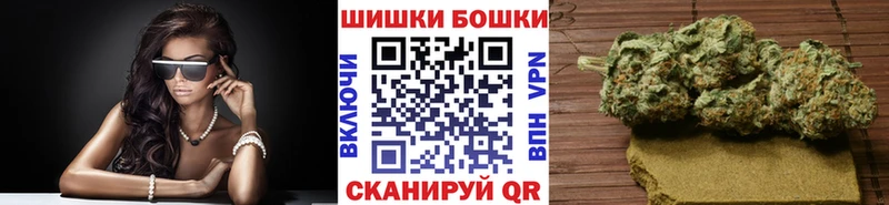 Купить где  Бабаево  МАРИХУАНА ГИДРОПОН 